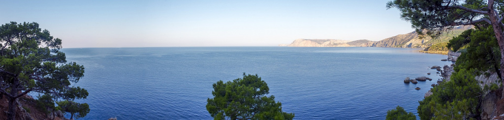 nature-3180126_1920.jpg nature-3180126_1920.jpg